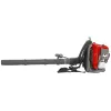 Cobra 43cc Petrol Backpack Leaf Blower – BP43C