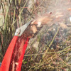 Cobra 3" Petrol Wood Chipper (Electric Start) - CHIP650LE
