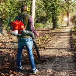 Petrol Leaf Blowers